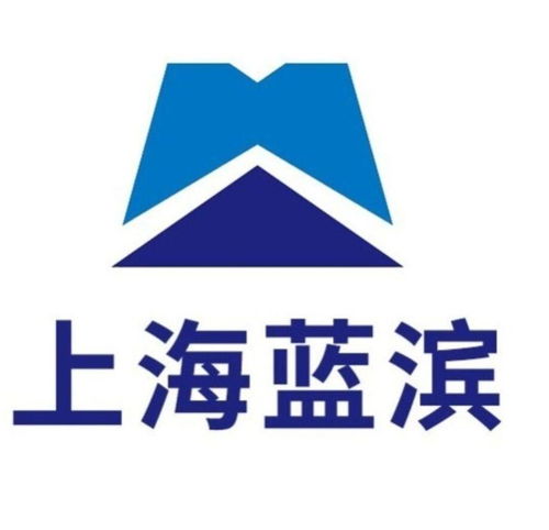 上海蓝滨石化设备有限责任公司